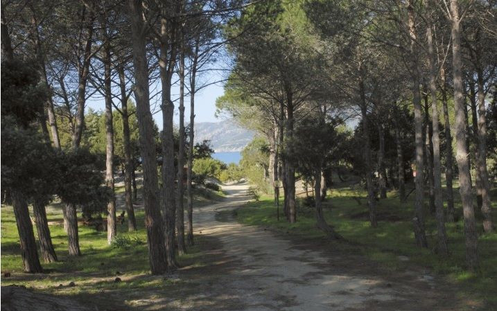 Camping Spiaggia del Riso