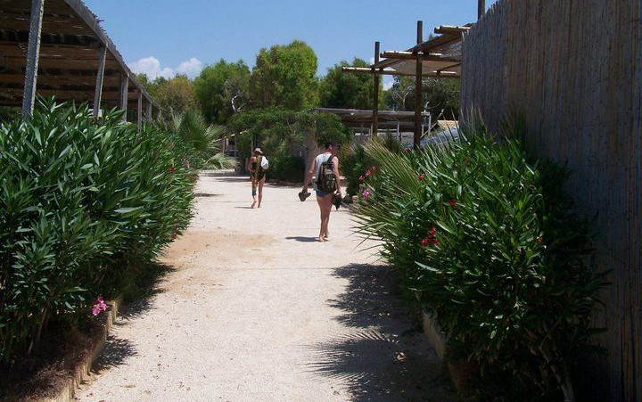 Camping Scarabeo