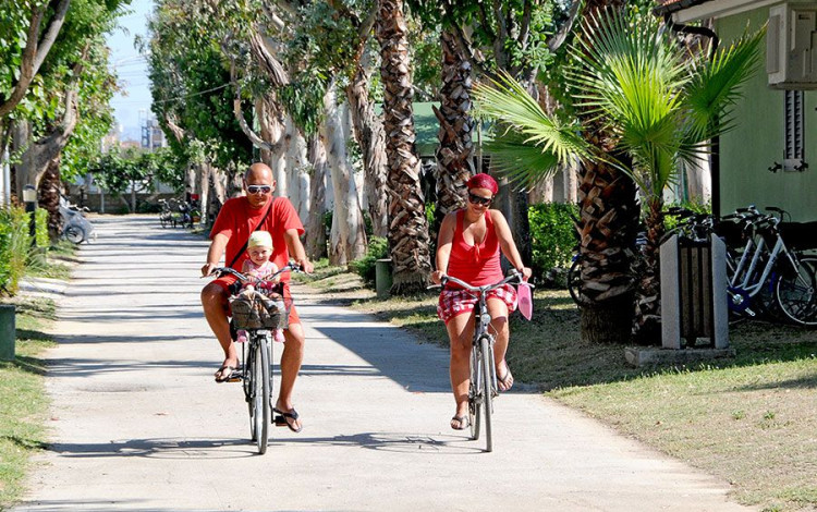 Camping & Village Eucaliptus