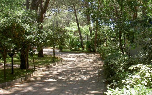 Camping Village il Sole