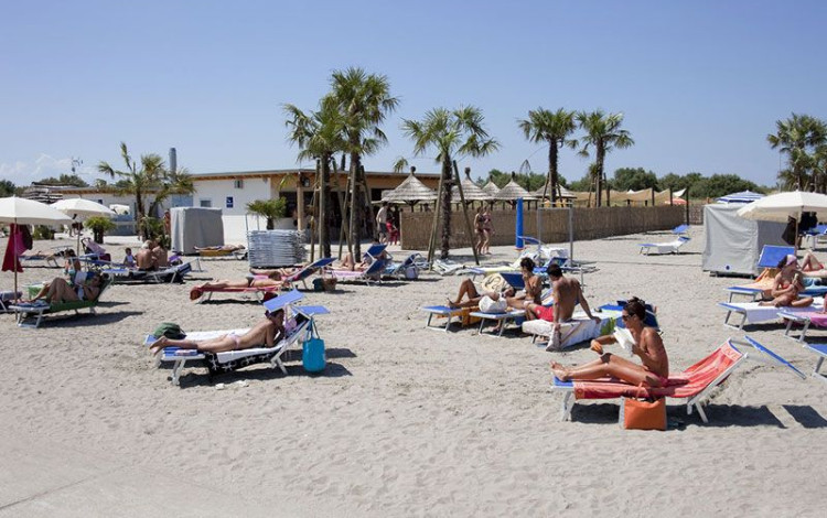 Camping Oasi