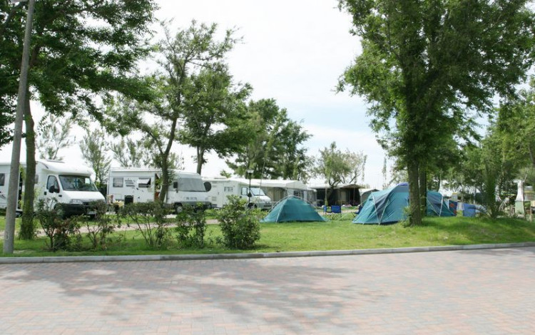 Camping Oasi