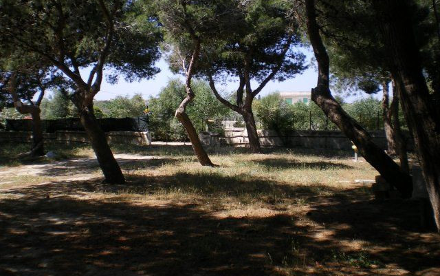 Camping Forte Village