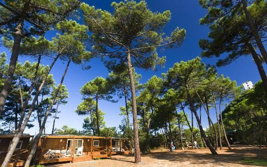 PuntAla Camp & Resort