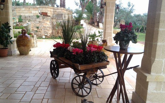 Village Camping Park Shadak