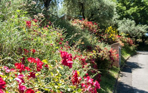 Camping Village Cerquestra