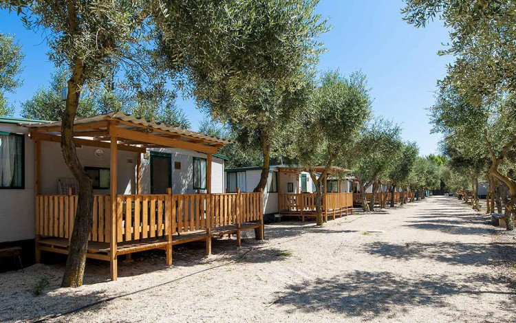 Village Camping Park Shadak