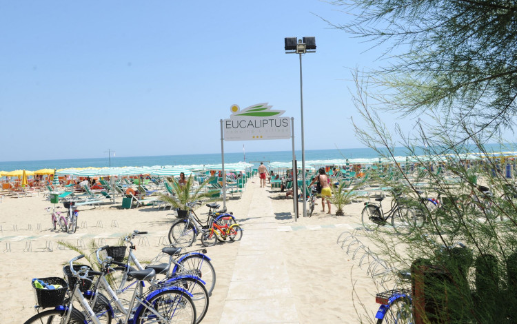 Camping & Village Eucaliptus