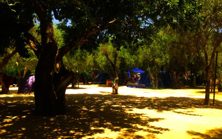 Camping Sabbiadoro