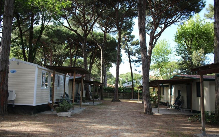 International Camping Mare e Pineta