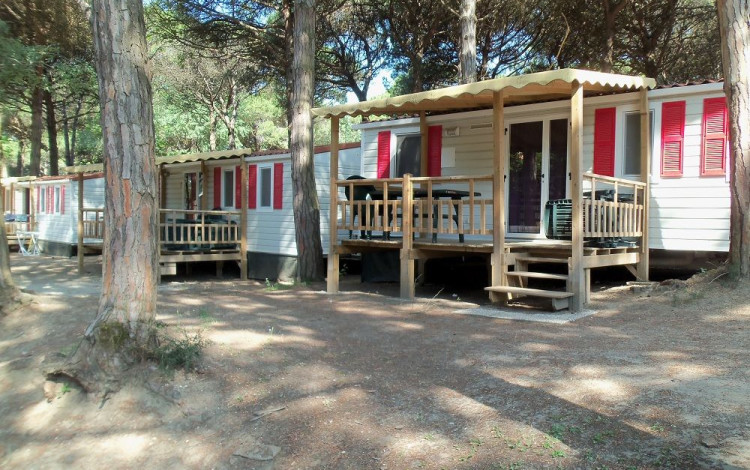 International Camping Mare e Pineta