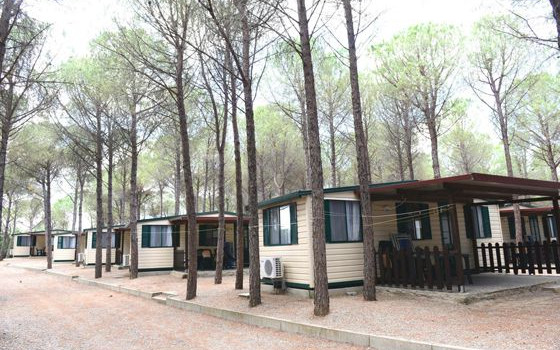 Camping Onda Azzurra