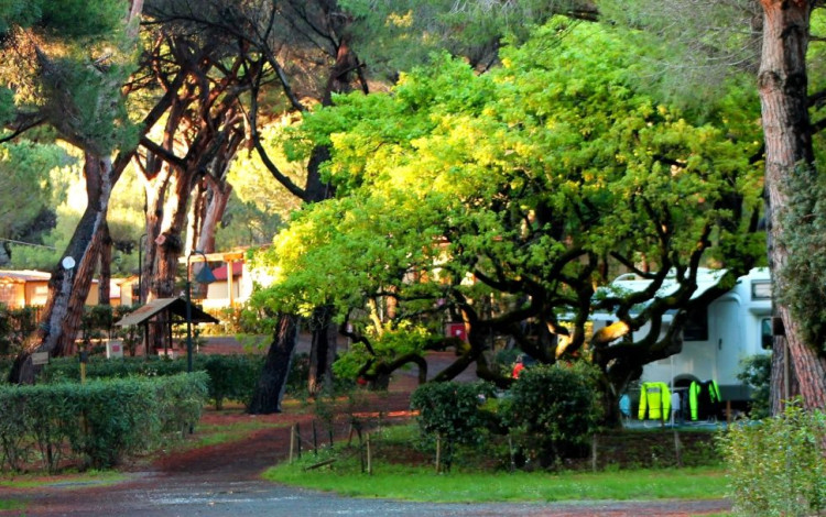 Camping Village Le Esperidi