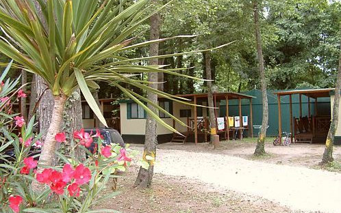 Camping Village St. Michael