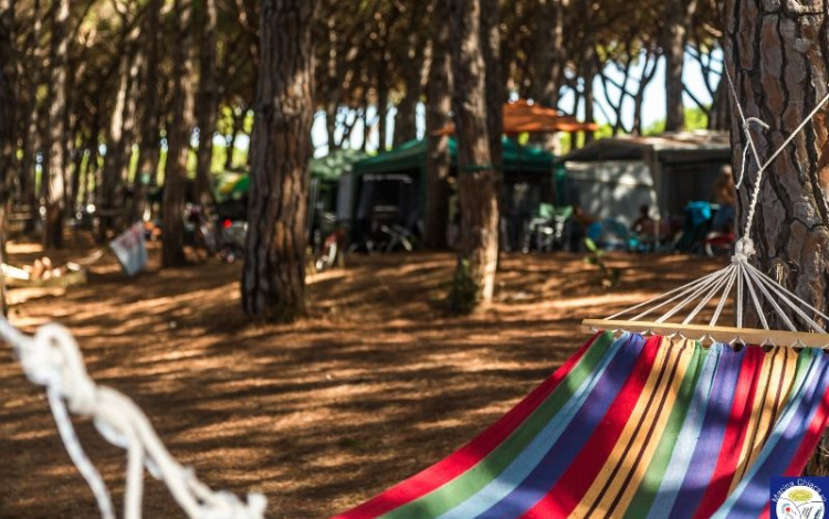 Camping Marina Chiara
