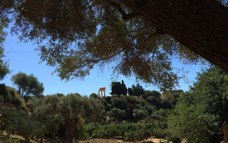 Camping Valle dei Templi