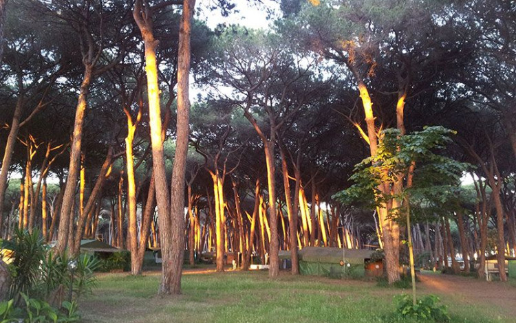 Camping Village Isola Verde