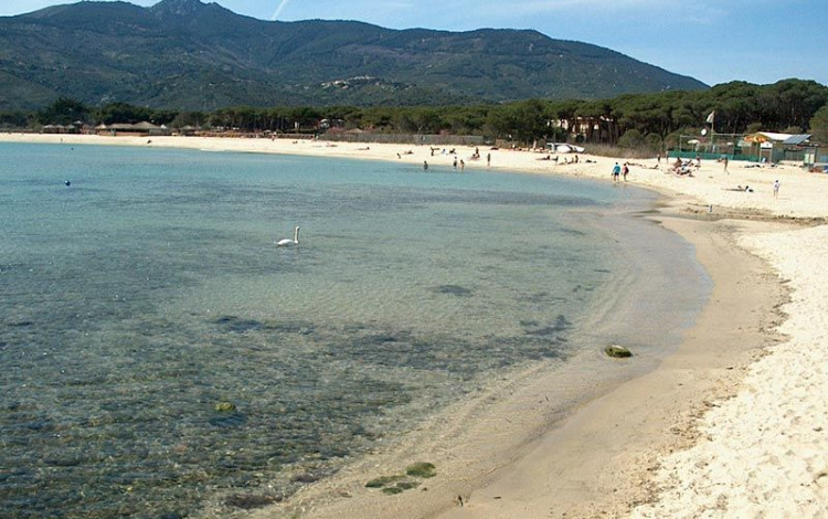 Camping la Foce