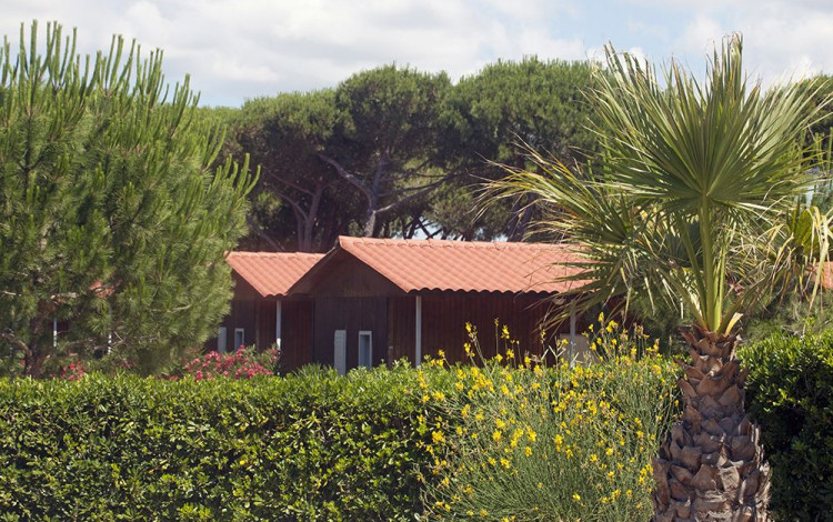 Camping Village Oasi