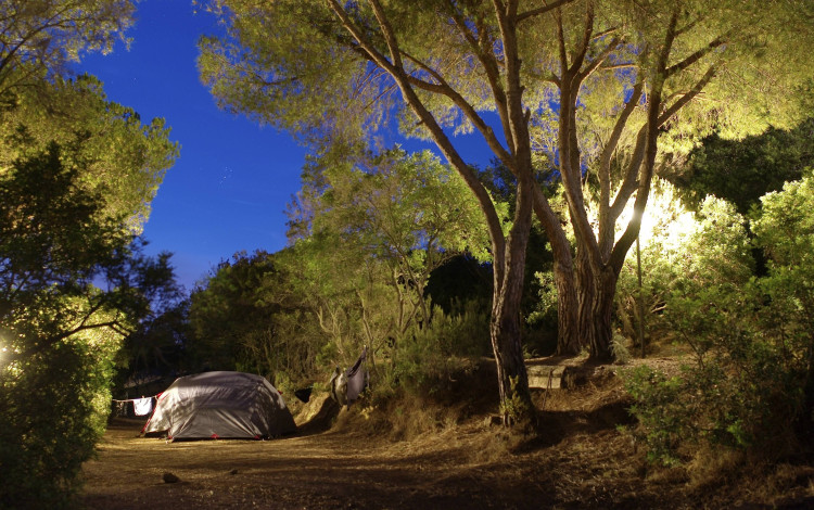 Camping Lacona Pineta