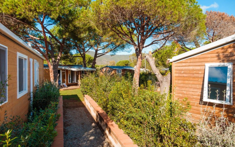 Camping Lacona Pineta