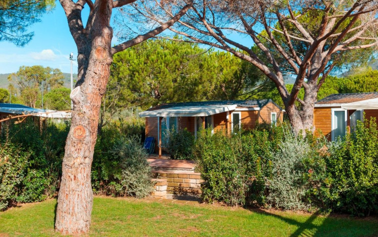 Camping Lacona Pineta