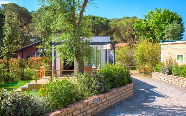Camping Lacona Pineta
