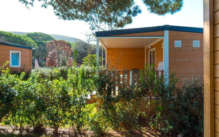 Camping Lacona Pineta