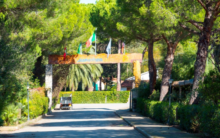 Camping Lacona Pineta