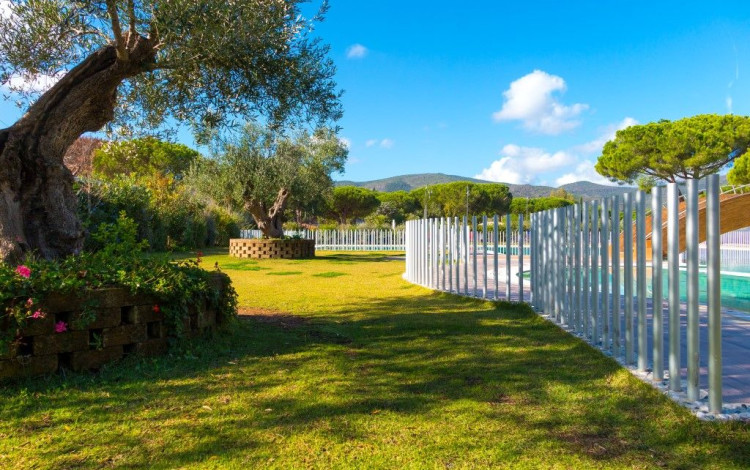 Camping Lacona Pineta