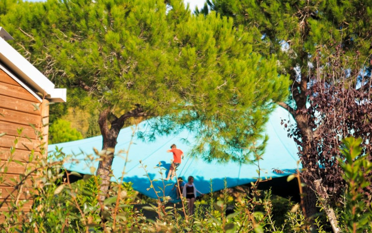 Camping Lacona Pineta