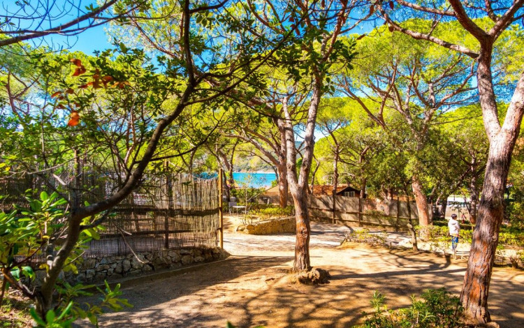 Camping Lacona Pineta