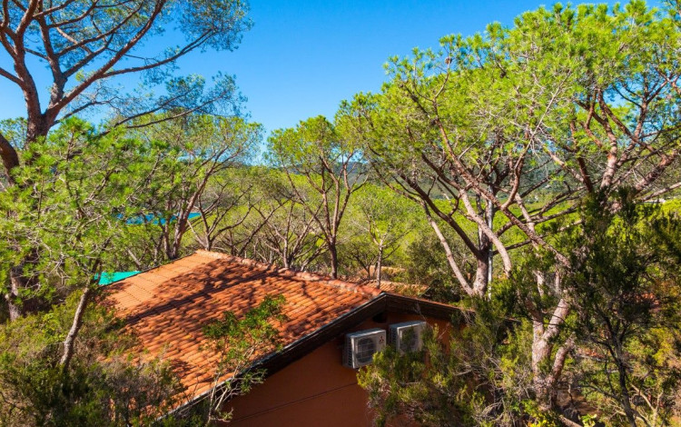 Camping Lacona Pineta