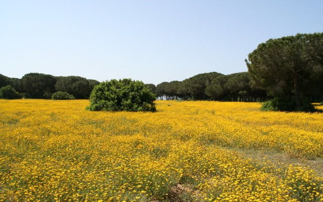 Camping Riva dei Tarquini