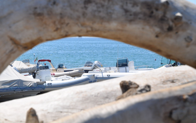 Camping Riva dei Tarquini