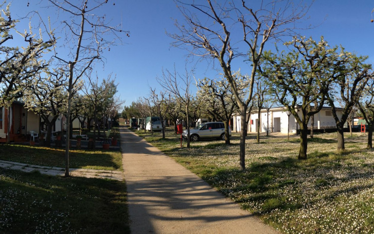 Camping Il Frutteto