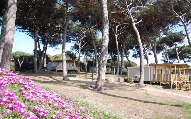 Camping Village Parco della Gallinara