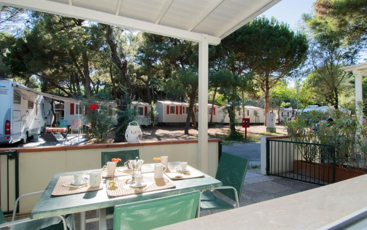 International Camping Mare e Pineta