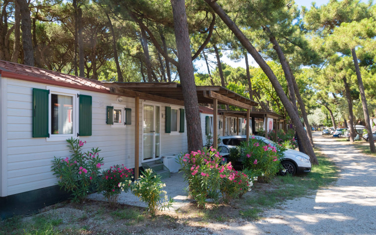 International Camping Mare e Pineta