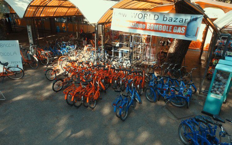 International Camping Mare e Pineta