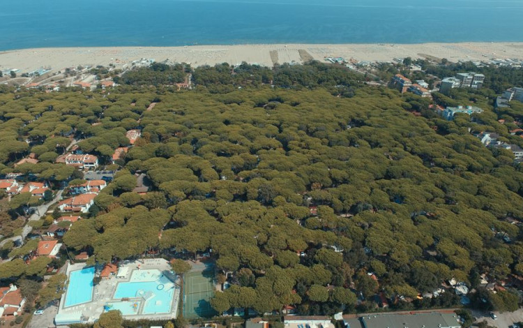 International Camping Mare e Pineta