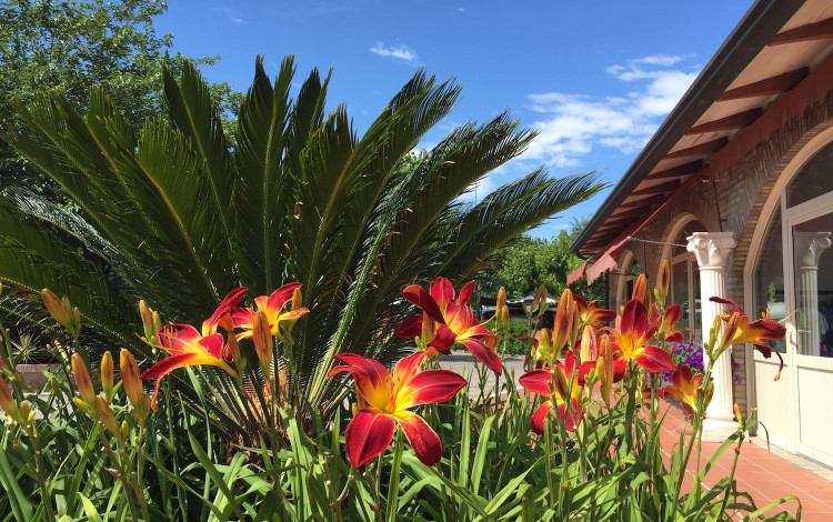 Villaggio Camping Rubicone