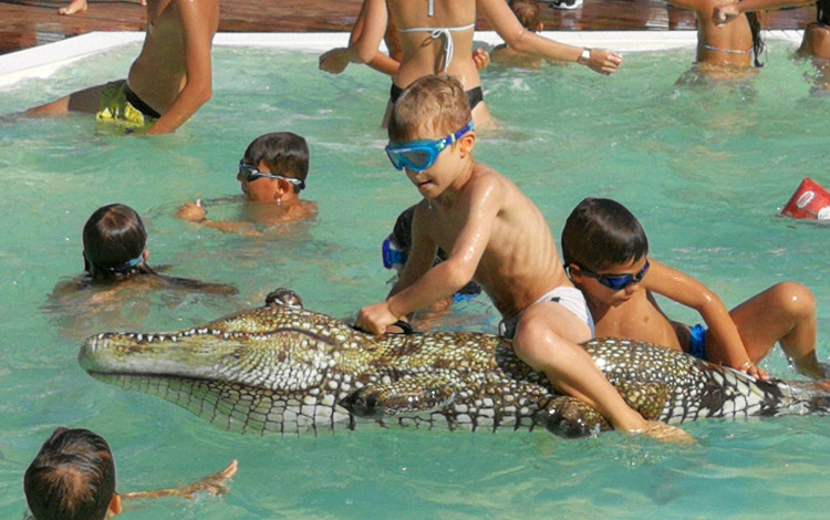 Piomboni Camping Village