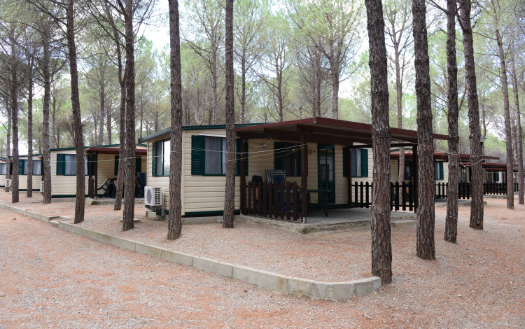 Camping Onda Azzurra
