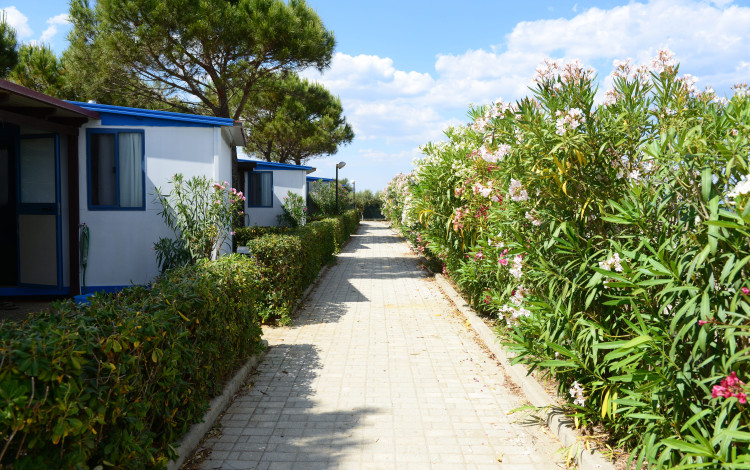 Camping Onda Azzurra