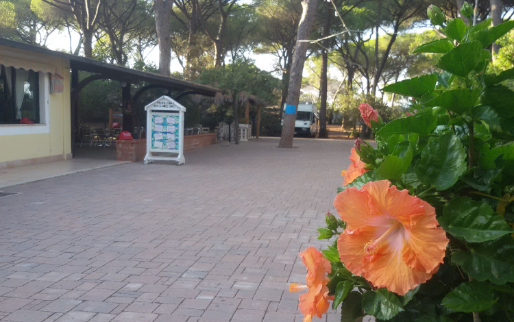Camping Village il Sole