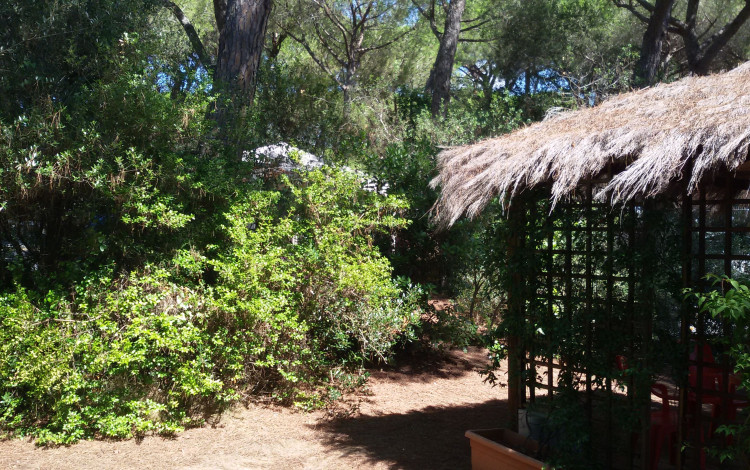 Camping Village il Sole