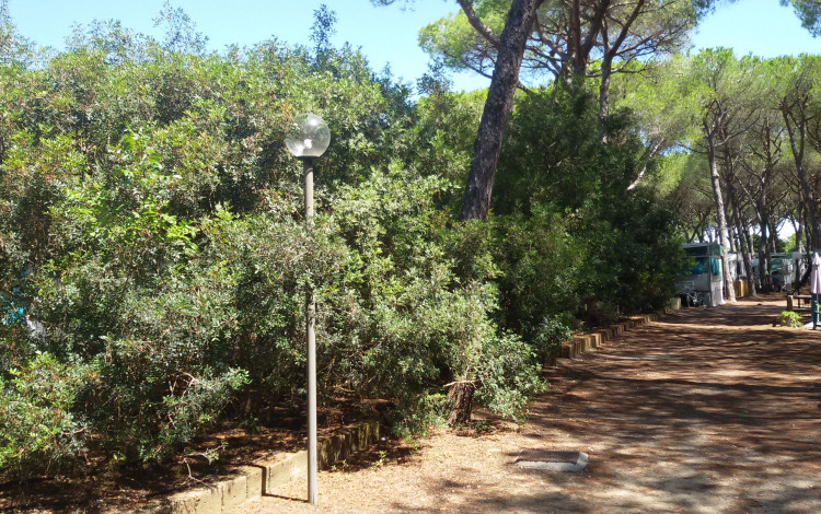 Camping Village il Sole