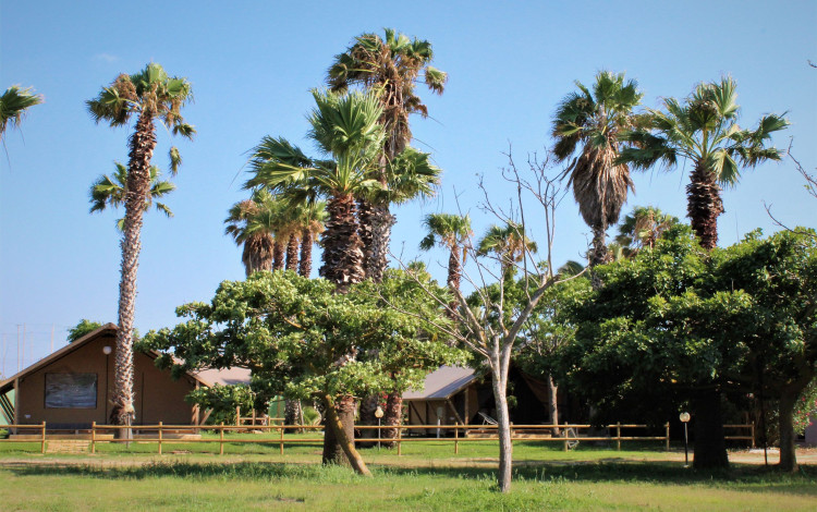 Camping Biscione
