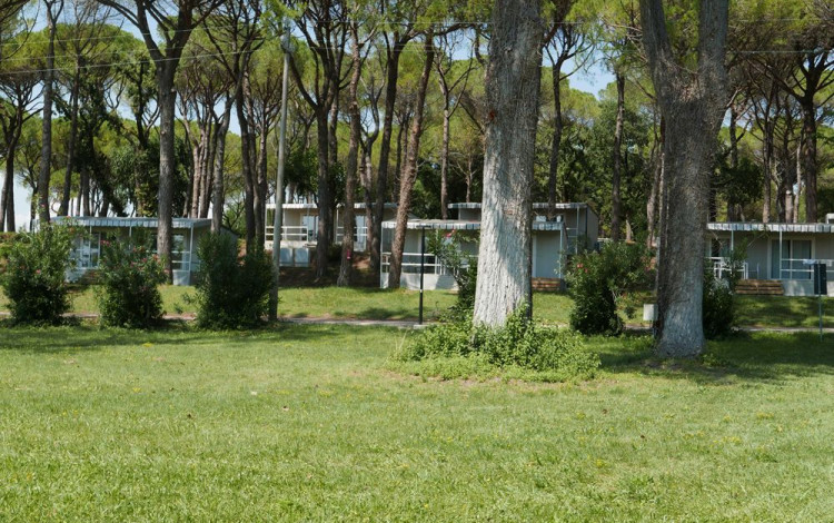 Camping Village Belvedere Pineta